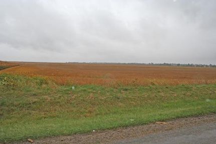 Farm and Ranch in Clay County, Illinois