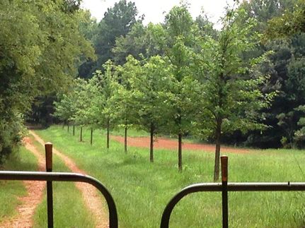 Farm and Ranch in Oconee County, Georgia