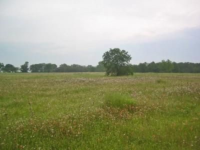 House in Hunt County, Texas