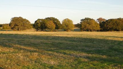Land in Kaufman County, Texas