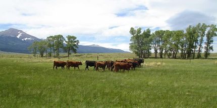 Farm and Ranch in Custer County, Colorado