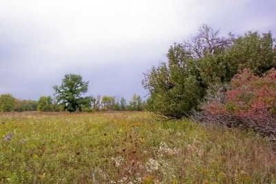 Farm and Ranch in Tuscola County, Michigan