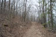 Land in Pike County, Arkansas