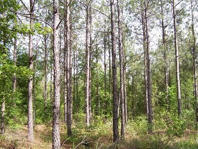 Farm and Ranch in Union Parish, Louisiana