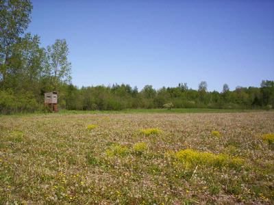 Land in Sanilac County, Michigan