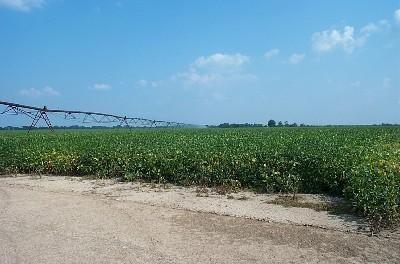 Farm and Ranch in Sunflower County, Mississippi