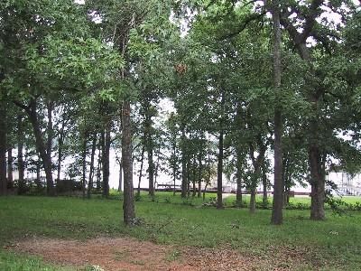 Recreational Property in Henderson County, Texas