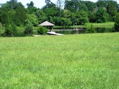 Lakefront Property in Fannin County, Texas