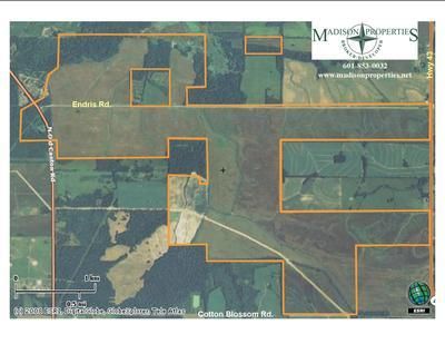 Farm and Ranch in Madison County, Mississippi