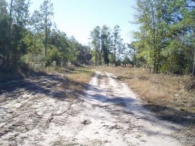 Land in Trinity County, Texas