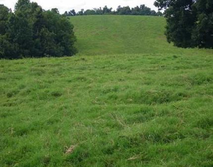 Land in McDonald County, Missouri