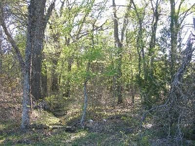 Land in Henderson County, Texas