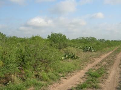 Land in McMullen County, Texas