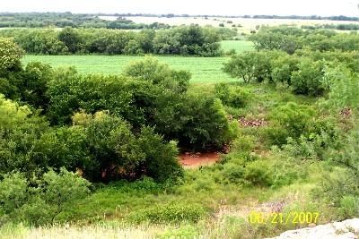 Horse Property in Jones County, Texas