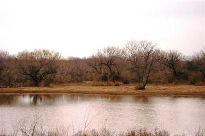 Land in Frio County, Texas