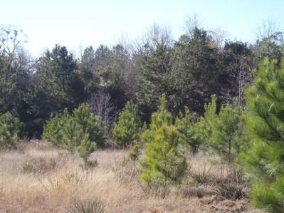 Farm and Ranch in Houston County, Texas