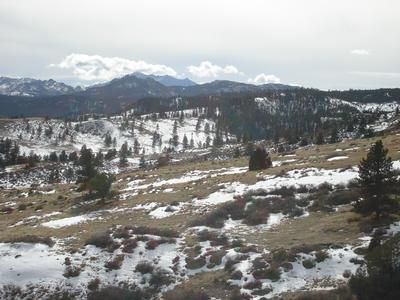 Farm and Ranch in Albany County, Wyoming