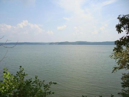 Farm and Ranch in Calloway County, Kentucky