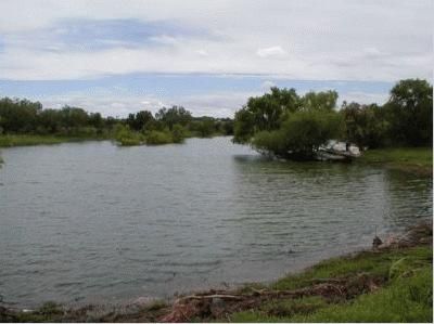 Farm and Ranch in Fisher County, Texas