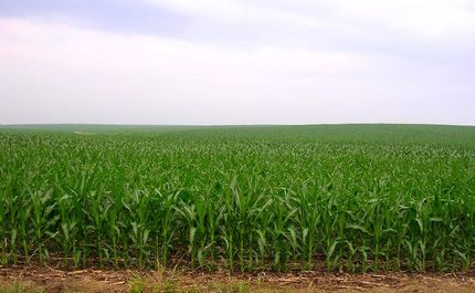 Farm and Ranch in LaSalle County, Illinois