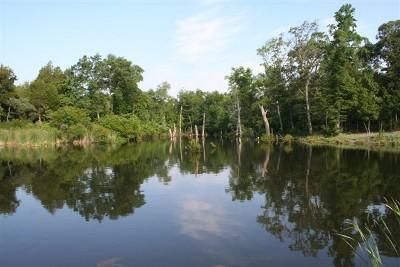 Farm and Ranch in Henderson County, Texas