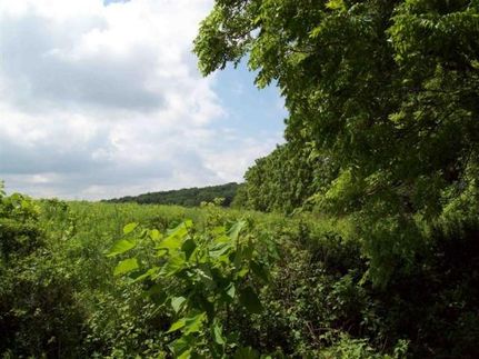 Farm and Ranch in Whiteside County, Illinois