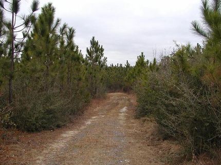 Farm and Ranch in Baldwin County, Alabama