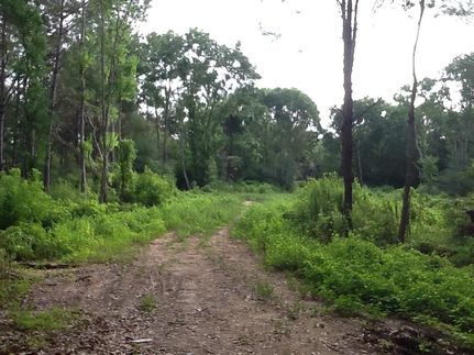 Farm and Ranch in Jones County, Mississippi
