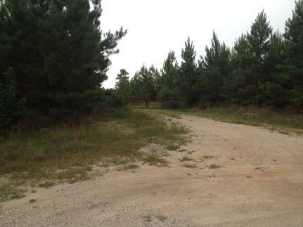 Land in Jones County, Mississippi