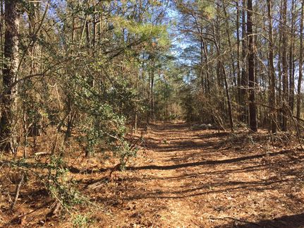 Farm and Ranch in Jones County, Mississippi
