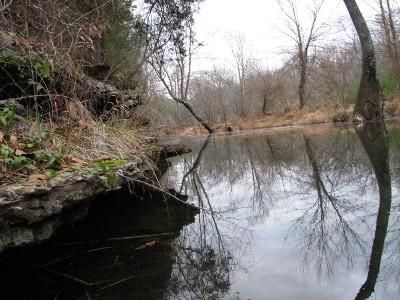 Farm and Ranch in Limestone County, Alabama