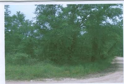 Farm and Ranch in Houston County, Texas