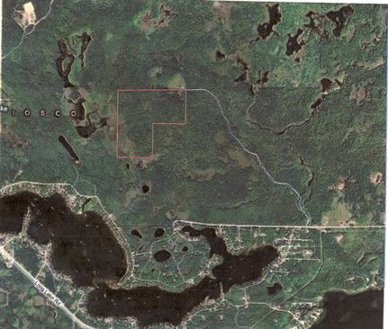 Farm and Ranch in Iosco County, Michigan