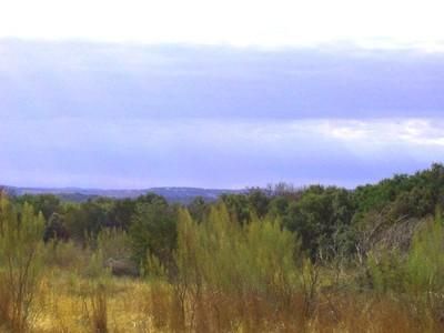 Farm and Ranch in Travis County, Texas