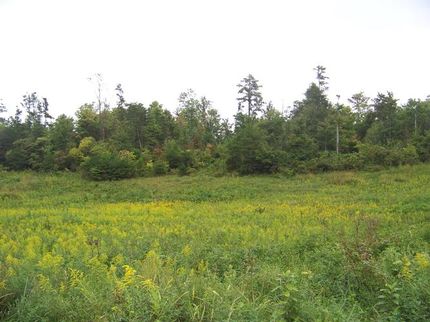 Farm and Ranch in Adair County, Kentucky