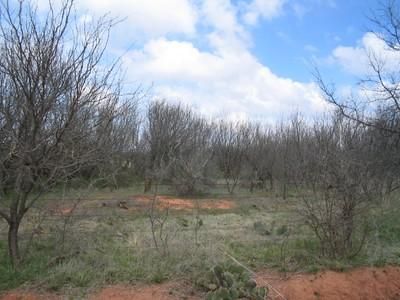 Land in Haskell County, Texas