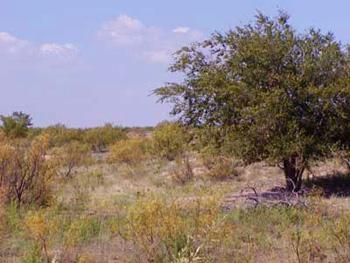 Land in Briscoe County, Texas