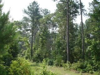 Farm and Ranch in Camp County, Texas