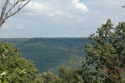 Farm and Ranch in Franklin County, Tennessee