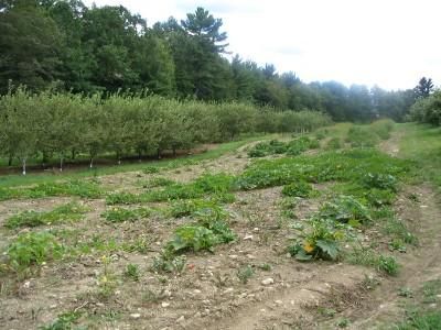Land in Hillsborough County, New Hampshire