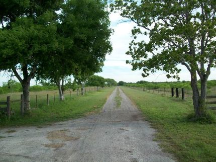 Farm and Ranch in Bee County, Texas