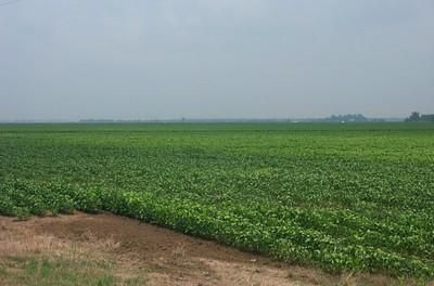 Farm and Ranch in Bolivar County, Mississippi