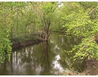 Hunting Property in Ingham County, Michigan