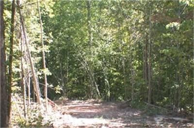 Undeveloped Land in Cherokee County, South Carolina