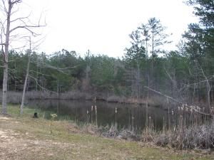 Undeveloped Land in Rankin County, Mississippi
