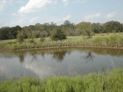 Land in Milam County, Texas