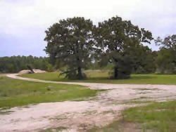 Farm and Ranch in Walker County, Texas