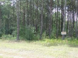 Farm and Ranch in Montgomery County, Texas