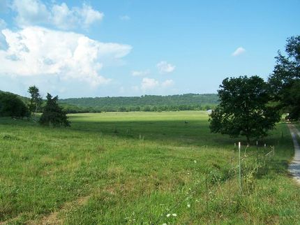 Horse Property in Madison County, Arkansas