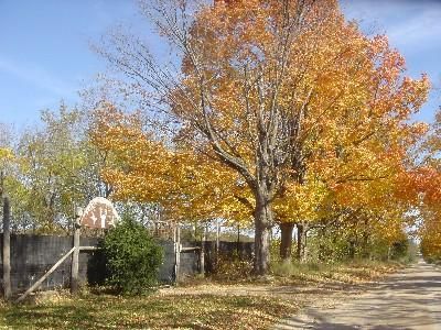 Farm and Ranch in Isabella County, Michigan